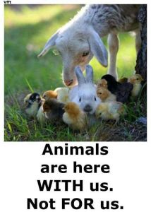 animals are with us not for us